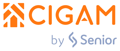 ERP CIGAM